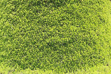 《麻布仔大冒险》上架Steam 售价379元支持繁中