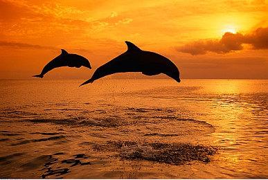 像素风「团地」公寓冒险游戏《Danchi Days》Steam页面开放 2026年发售